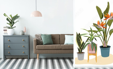 Visualisation du produit