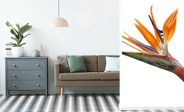 Visualisation du produit