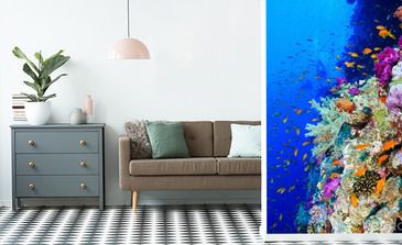 Visualisation du produit