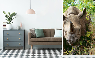 Visualisation du produit