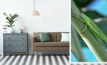 Visualisation du produit