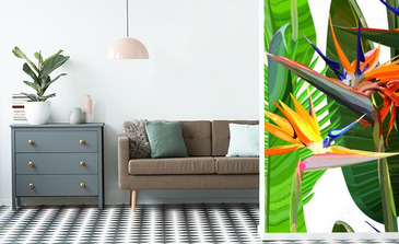 Visualisation du produit