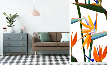 Visualisation du produit