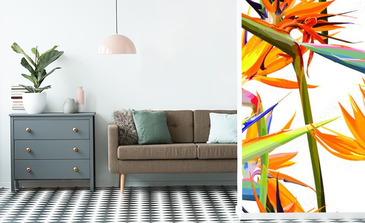 Visualisation du produit