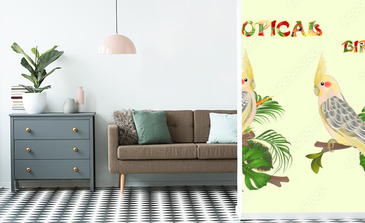 Visualisation du produit