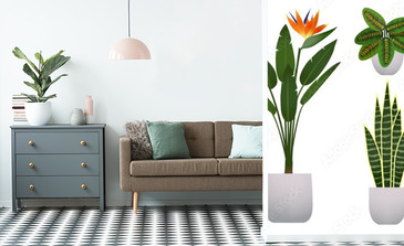 Visualisation du produit