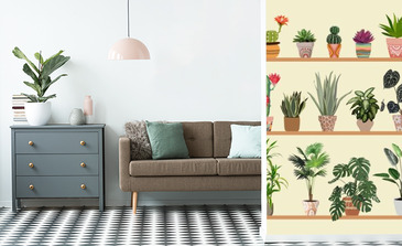 Visualisation du produit