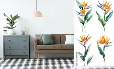 Visualisation du produit