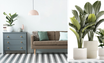 Visualisation du produit