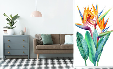 Visualisation du produit