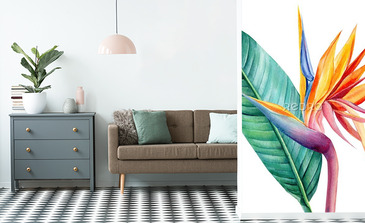 Visualisation du produit