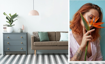 Visualisation du produit