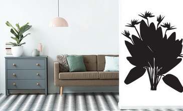 Visualisation du produit