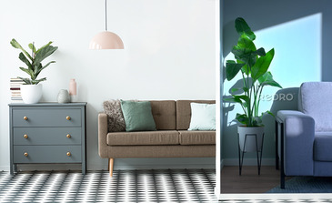 Visualisation du produit