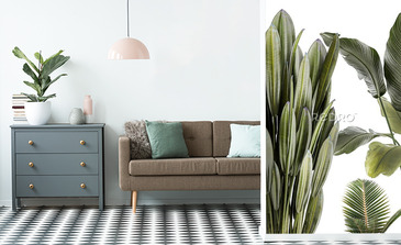 Visualisation du produit