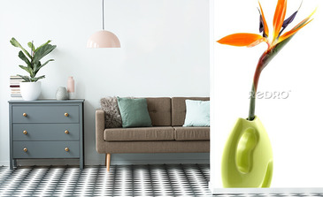 Visualisation du produit