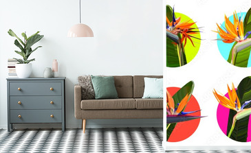 Visualisation du produit