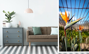 Visualisation du produit