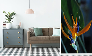 Visualisation du produit