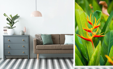 Visualisation du produit