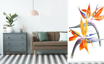 Visualisation du produit