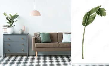 Visualisation du produit