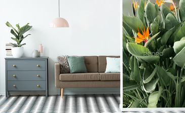 Visualisation du produit