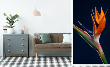 Visualisation du produit