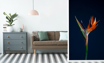 Visualisation du produit