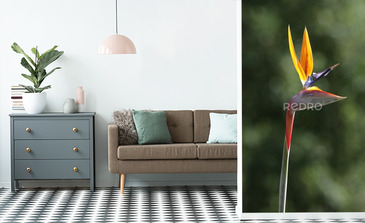 Visualisation du produit