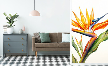 Visualisation du produit