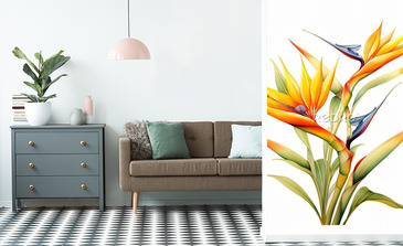 Visualisation du produit