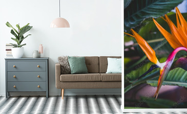 Visualisation du produit