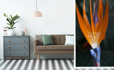 Visualisation du produit