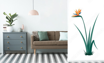 Visualisation du produit