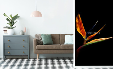 Visualisation du produit