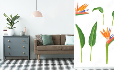 Visualisation du produit