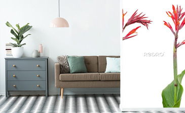 Visualisation du produit