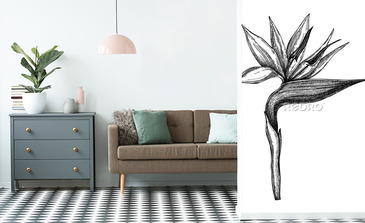 Visualisation du produit