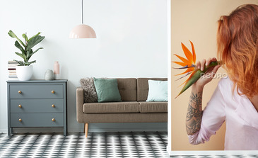 Visualisation du produit