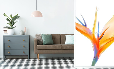 Visualisation du produit