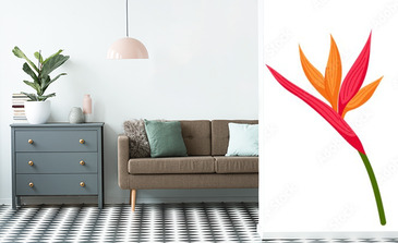 Visualisation du produit