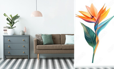 Visualisation du produit