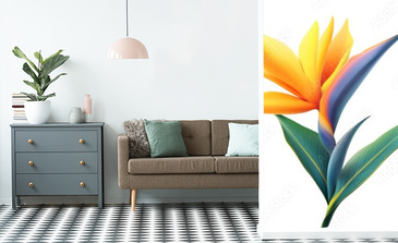 Visualisation du produit