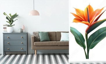 Visualisation du produit