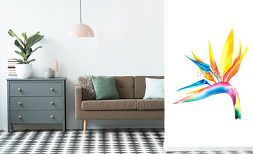 Visualisation du produit