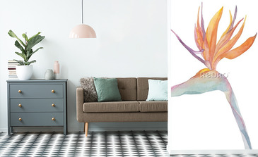 Visualisation du produit