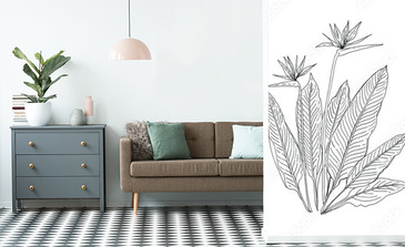 Visualisation du produit