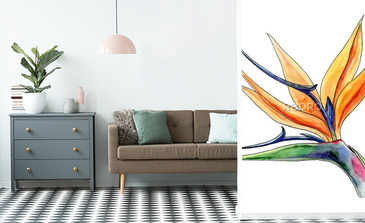 Visualisation du produit