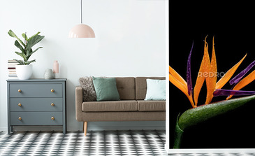 Visualisation du produit